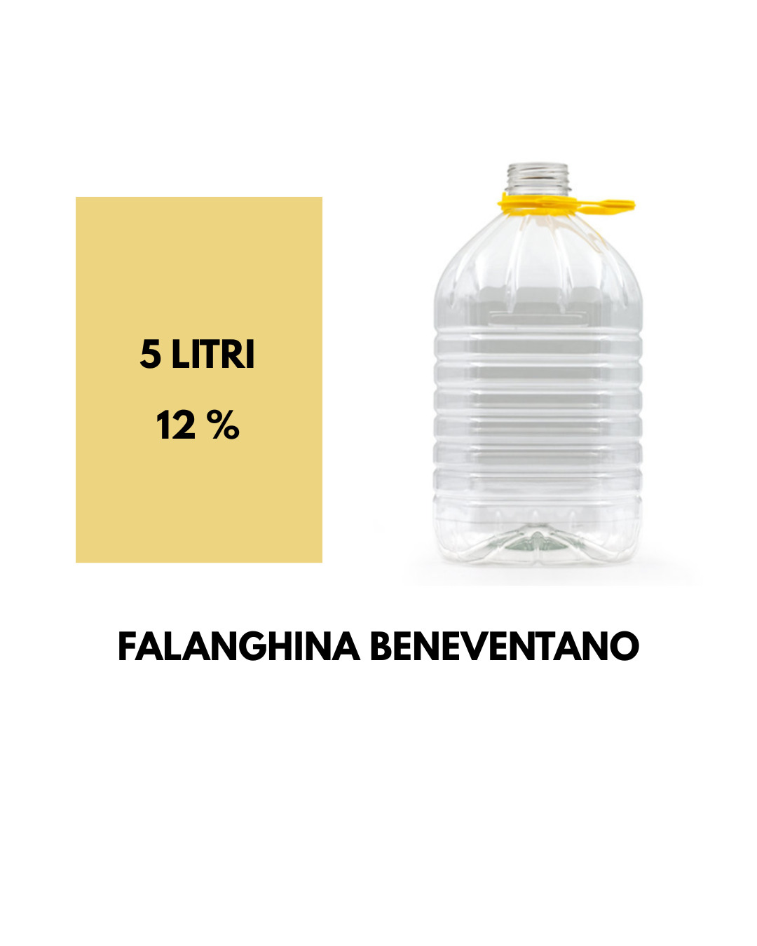 FALANGHINA - 5 LITRI