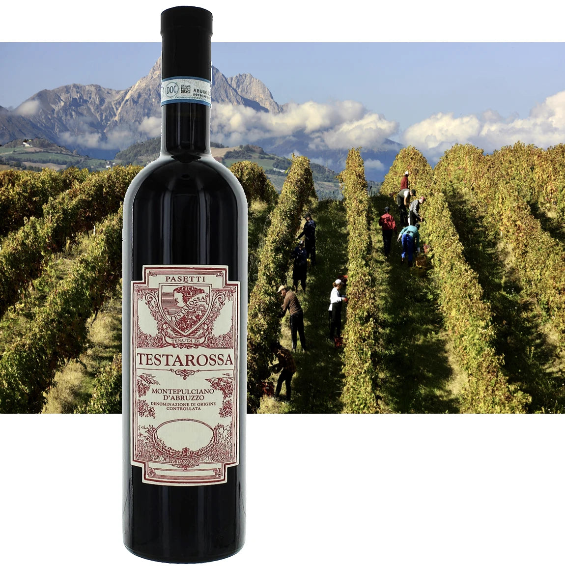 TESTAROSSA MONTEPULCIANO D'ABRUZZO RISERVA 2018-PASETTI